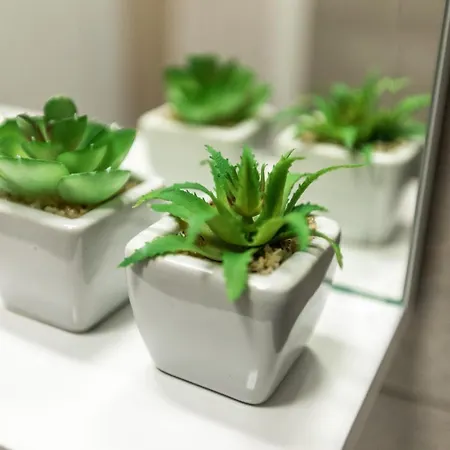 Mb 2 Apartment Subotica